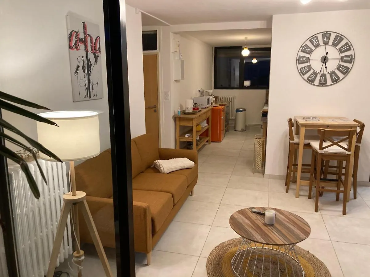 L'Appartement Du Bonheur - Au Coeur Des Volcans D'Auvergne Sur La Route Du Sud Issoire 0*,  Frankreich